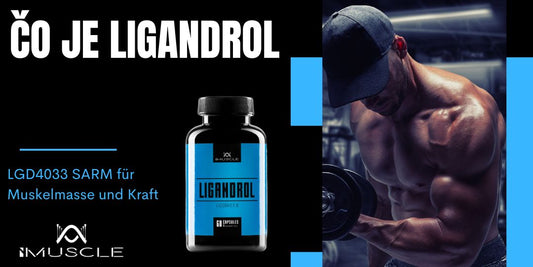 Čo je Ligandrol LGD4033?