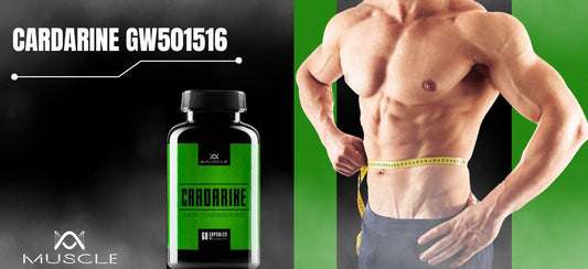 Aký je účinok Cardarine GW501516