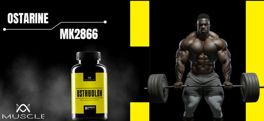 Účinky Ostarine MK2866 SARMs